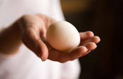 El huevo, la gallina, la U.E. e internet El huevo, la gallina, la U.E. e internet