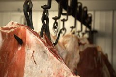 Nueva normativa sobre el procedimiento de la matanza de animales Carnede animal colgada de un pincho