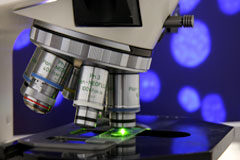 Informes motivados para la deducción en el Impuesto sobre Sociedades Un microscopio