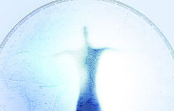 La neutralidad de la red en su modalidad yankee Lupa mirando a una silueta humana dentro de un mapamundi.