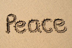 El año de la paz Palabra peace