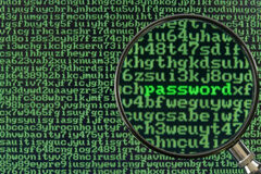 ¿Necesitas un Delegado de Protección de Datos? Una pantalla donde aparecen un montón de palabras de color verde y también se puede leer la palabra 'password'