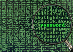 Una pantalla donde aparecen un montón de palabras de color verde y también se puede leer la palabra 'password'