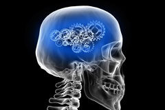 Radiografía del Consentimiento, según el Grupo de Trabajo del Artículo 29 Radiografía de una cabeza humana.