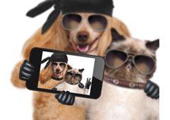 Selfie de un perro y un gato