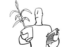A mí me trasladan y a ti no Persona con planta y teclado