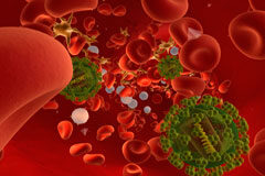 VIH entre la población reclusa. Una cuestión pendiente Glóbulos rojos con virus del sida