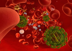 Glóbulos rojos con virus del sida