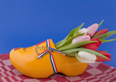 Tulipanes dentro de un zueco