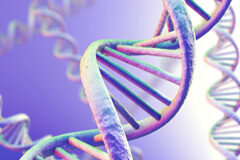 Cuando Themis conoció a Jeffreys: exigencias procesales de la prueba de ADN en vía penal ADN