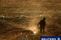 Integración del Régimen Especial Agrario de la Seguridad Social en el Régimen General de la Seguridad Social Un agricultor en los campos de azúcar en Málaga