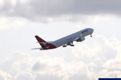 Todo el campo es orégano para las compañías aéreas Un avion