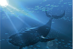 Inducción al suicidio a través de Internet ballena azul