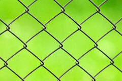 A propósito de la cadena perpetua Valla sobre fondo verde