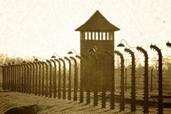 Constitucionalidad de la cadena perpetua revisable Una torreta detrás de una alambrada