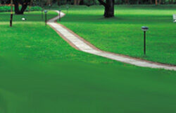 La vía penal. Una opción más. Un camino en medio de un parque.