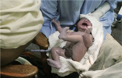 El Supremo anula la normativa madrileña sobre bancos de cordón umbilical Un bebé recien parido llorando en brazos de los médicos.