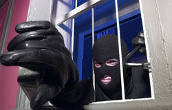 Diferencia entre organización criminal y grupos criminales delincuente