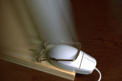 Cuestiones generales de los delitos informáticos Un cepo que atrapa a un ratón del ordenador