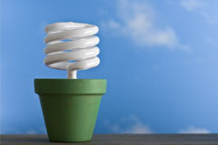 Nuevas medidas en el sector eléctrico español Una maceta con bombillla energia sostenible