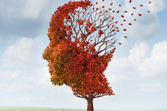 Enfermedad mental y delito: la punta del iceberg Pérdida de la función mental