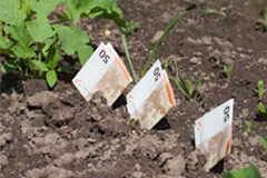 Los pagos directos a la agricultura y la ganadería Billetes de 50 euros saliendo de la tierra