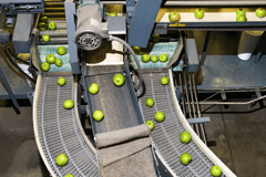 Las sociedades agrarias de transformación Una máquina clasificando manzanas