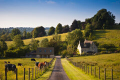 El retracto de colindantes: plazos legales para su ejercicio Una propiedad con caballos