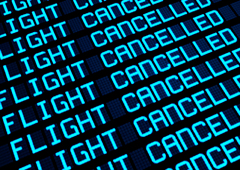 Palabras flight cancelled Palabras flight cancelled