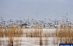 Aprobada la Ley del Patrimonio Natural y de la Biodiversidad Aprobada la Ley del Patrimonio Natural y de la Biodiversidad
