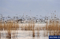 Aprobada la Ley del Patrimonio Natural y de la Biodiversidad Aprobada la Ley del Patrimonio Natural y de la Biodiversidad