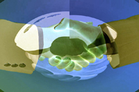 El proyecto de fusión de sociedades El proyecto de fusión de sociedades