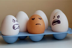 La vida no es sólo lo que hacemos, sino lo que por no haber hecho nos pueda pasar En una huevera todos los huevos son blancos excepto uno que es marrón, al huevo marrón le han pitando una cara seria y a los dos huevos blancos que tiene al lado les han puesto cara de enfadados