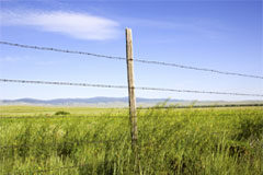 La definición de los límites de las vías pecuarias: un problema mal resuelto Campo con separación