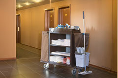 Enfermedad del túnel carpiano en las “Kellys ” Carro de limpieza en hotel