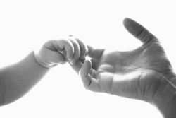 Las manos de un bebé junto a las de su madre. Las manos de un bebé junto a las de su madre.