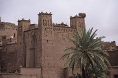 La implantación societaria en Marruecos castillo árabe con una palmera delante