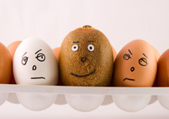 Un kiwi contrento entre dos huevos con cara de enfadados Un kiwi contrento entre dos huevos con cara de enfadados