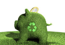 ¿Laguna legislativa? Una hucha de cerdito hecha de hierba