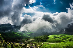 La justicia indígena una propuesta inclusiva Paisaje selva