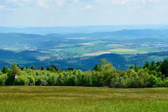 Nuevo impulso de la concentración parcelaria Una parcela