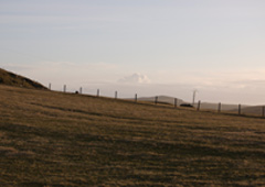 Imagen de una parcela en el campo