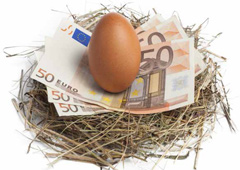 Un nido con billetes de cincuenta euros y un huevo