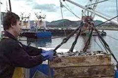 Un juzgado rechaza que el control de las cuotas de pesca en aguas exteriores le corresponda a la Xunta de Galicia Pescadores