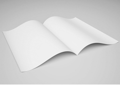 Libro abierto con las páginas en blanco