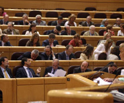 Durante una sesión en el Senado