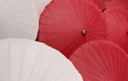 El bosque de sombrillas El bosque de sombrillas