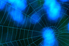 El delito de grooming Una tela de araña