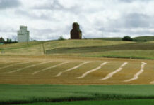 Nuevo argumento a favor del no devengo del impuesto de la plusvalía Un campo con una iglesia al fondo.