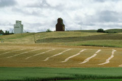 La ocupación ilegal de terrenos por la Administración: armas del propietario contra esta situación Un campo con una iglesia al fondo.